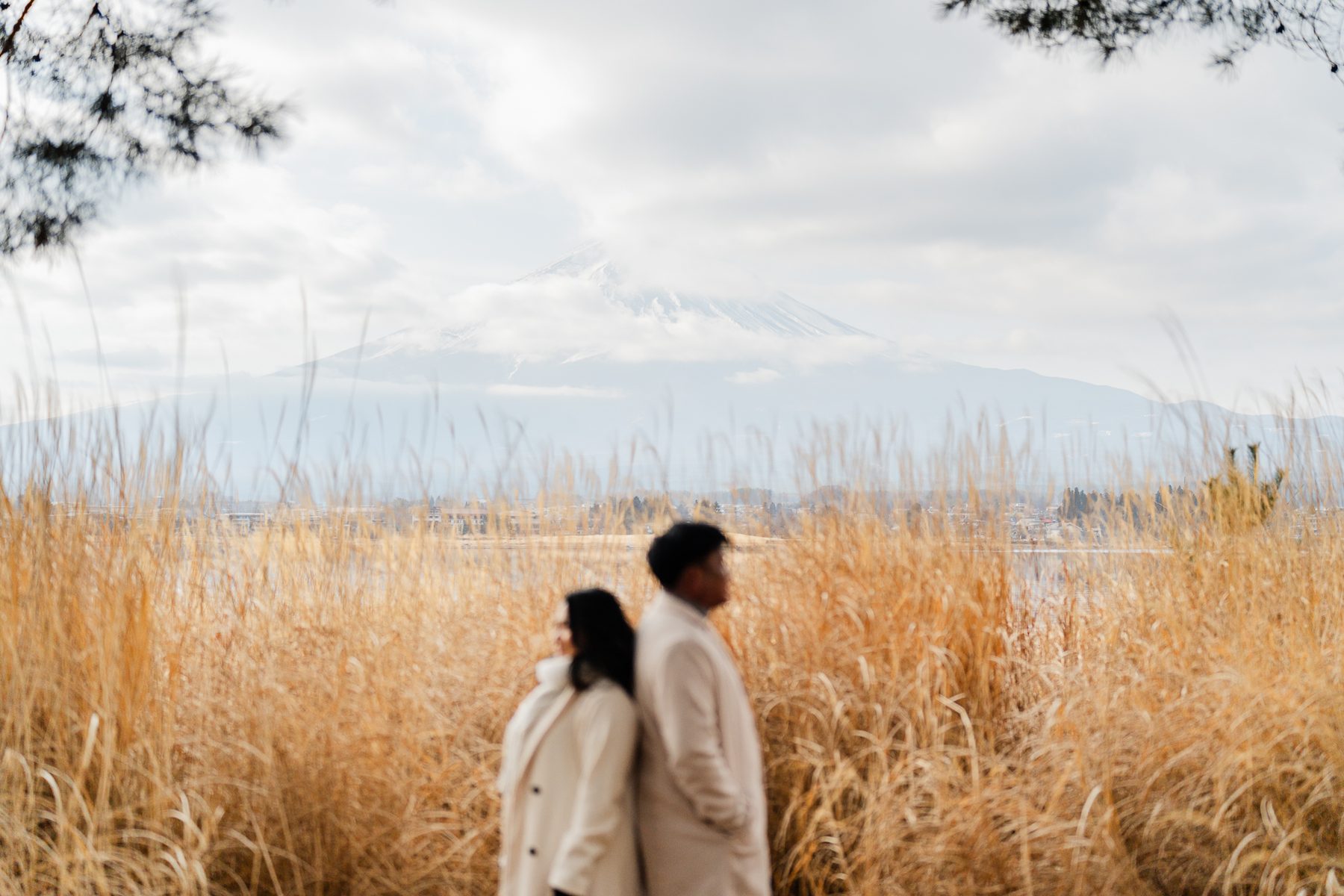 Bazon and Keio standing back to back in tall golden grass, Mt. Fuji blurred in the distance
